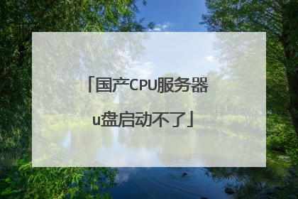 国产CPU服务器 u盘启动不了