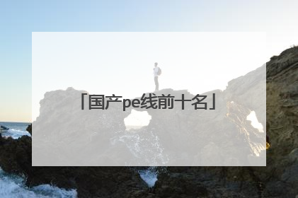 国产pe线前十名