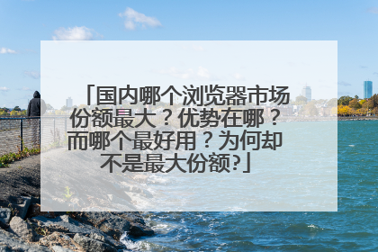 国内哪个浏览器市场份额最大?优势在哪?而哪个最好用?为何却不是最大份额?