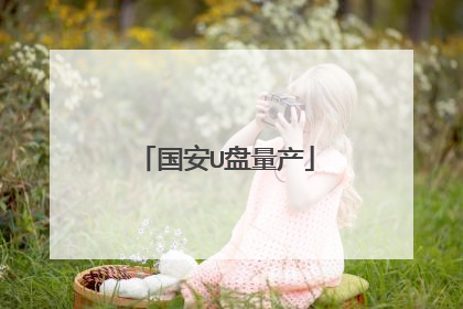 国安U盘量产
