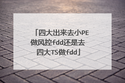 四大出来去小PE做风控fdd还是去四大TS做fdd