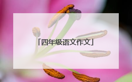 四年级语文作文