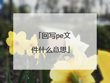 回写pe文件什么意思