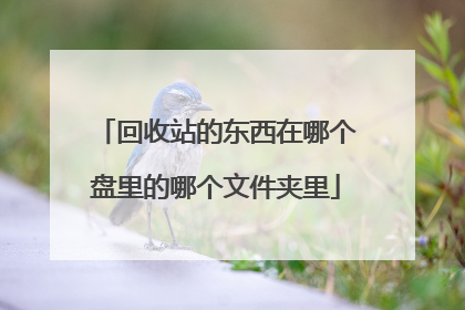 回收站的东西在哪个盘里的哪个文件夹里