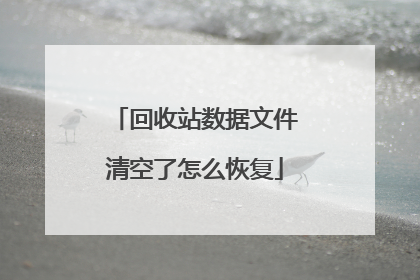 回收站数据文件清空了怎么恢复