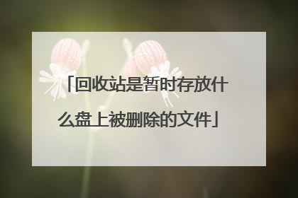 回收站是暂时存放什么盘上被删除的文件