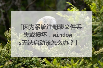 因为系统注册表文件丢失或损坏，windows无法启动该怎么办？