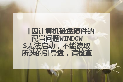 因计算机磁盘硬件的配置问题WINDOWS无法启动,不能读取所选的引导盘,请检查引导路径和磁盘硬件,请参阅WIN