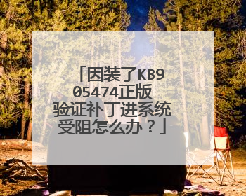 因装了KB905474正版验证补丁进系统受阻怎么办?