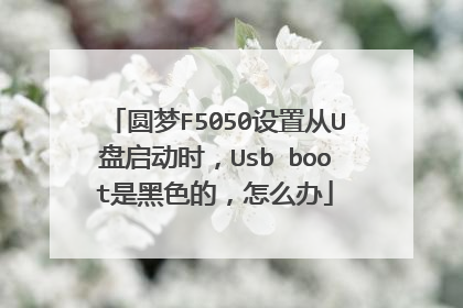 圆梦F5050设置从U盘启动时,Usb boot是黑色的,怎么办