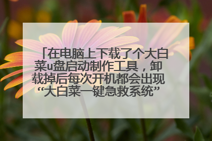 在电脑上下载了个大白菜u盘启动制作工具,卸载掉后每次开机都会出现“大白菜一键急救系统”的启动管理器