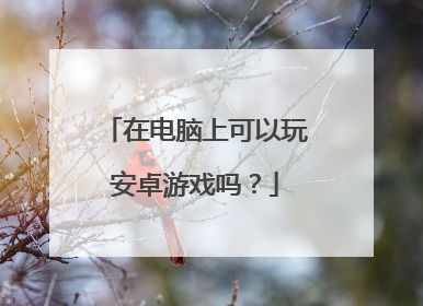 在电脑上可以玩安卓游戏吗?