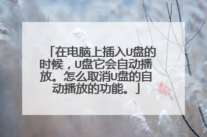 在电脑上插入U盘的时候,U盘它会自动播放。怎么取消U盘的自动播放的功能。