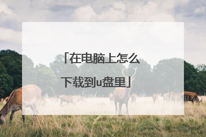 在电脑上怎么下载到u盘里