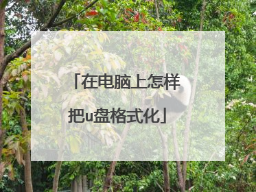 在电脑上怎样把u盘格式化