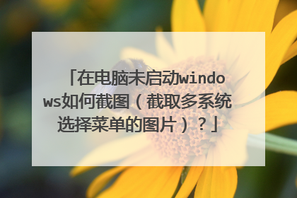 在电脑未启动windows如何截图（截取多系统选择菜单的图片）？
