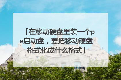 在移动硬盘里装一个pe启动盘，要把移动硬盘格式化成什么格式