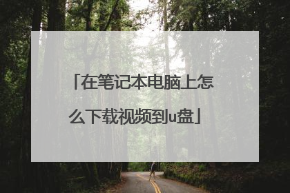 在笔记本电脑上怎么下载视频到u盘