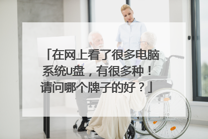 在网上看了很多电脑系统U盘,有很多种!请问哪个牌子的好?