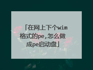 在网上下个wim格式的pe,怎么做成pe启动盘