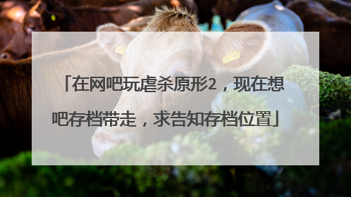 在网吧玩虐杀原形2,现在想吧存档带走,求告知存档位置
