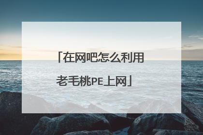 在网吧怎么利用老毛桃PE上网