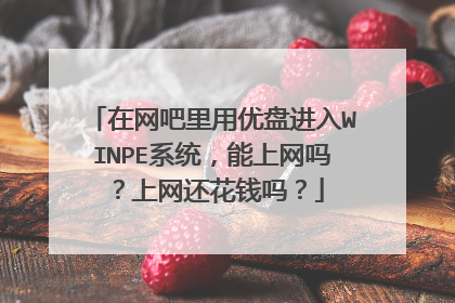 在网吧里用优盘进入WINPE系统,能上网吗?上网还花钱吗?
