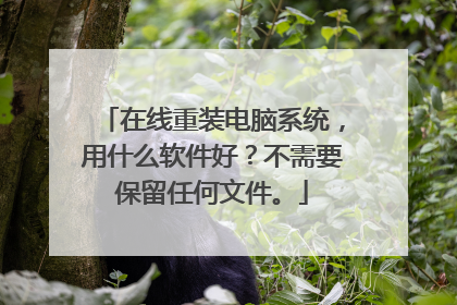 在线重装电脑系统,用什么软件好?不需要保留任何文件。