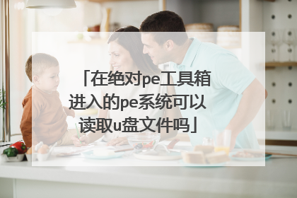 在绝对pe工具箱进入的pe系统可以读取u盘文件吗