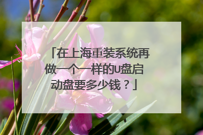 在上海重装系统再做一个一样的U盘启动盘要多少钱?