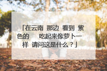 在云南 那边 看到 紫色的 吃起来像萝卜一样 请问这是什么?