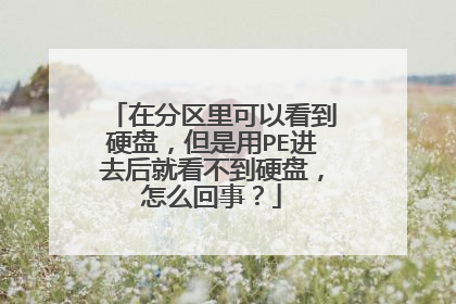 在分区里可以看到硬盘,但是用PE进去后就看不到硬盘,怎么回事?