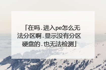 在吗.进入pe怎么无法分区啊.显示没有分区硬盘的.也无法检测