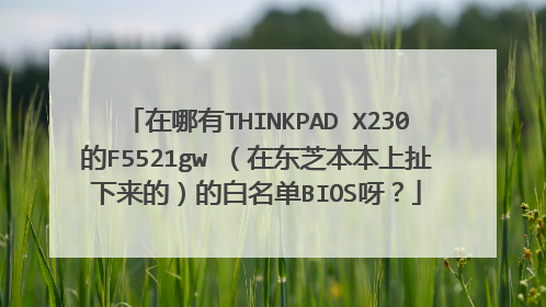 在哪有THINKPAD X230的F5521gw (在东芝本本上扯下来的)的白名单BIOS呀?