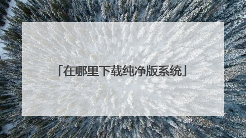 在哪里下载纯净版系统