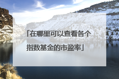 在哪里可以查看各个指数基金的市盈率