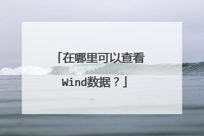 在哪里可以查看Wind数据?