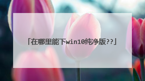 在哪里能下win10纯净版??