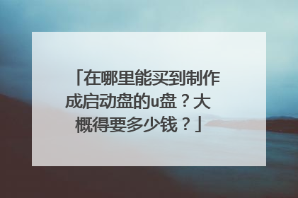 在哪里能买到制作成启动盘的u盘？大概得要多少钱？