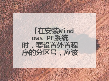 在安装Windows PE系统时,要设置外置程序的分区号,应该设置哪个盘上?