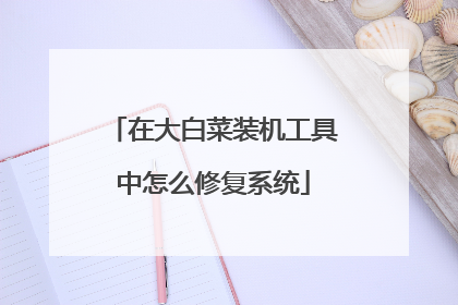 在大白菜装机工具中怎么修复系统