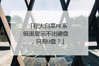 在大白菜PE系统里显示不出硬盘，只有U盘？