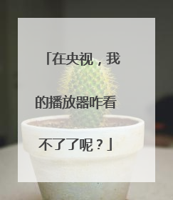 在央视,我的播放器咋看不了了呢?