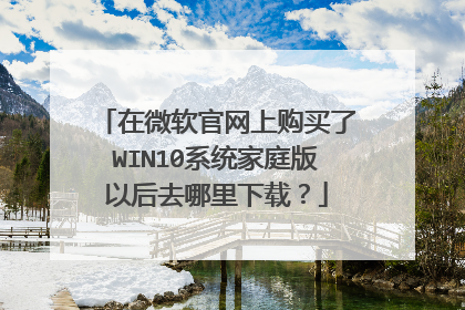 在微软官网上购买了WIN10系统家庭版以后去哪里下载?