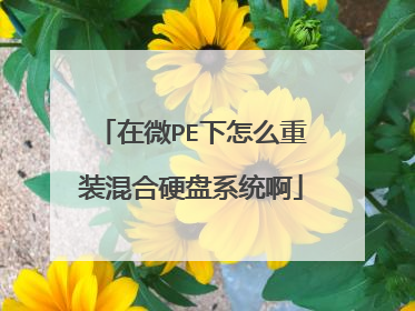 在微PE下怎么重装混合硬盘系统啊