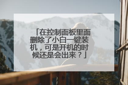 在控制面板里面删除了小白一键装机,可是开机的时候还是会出来?