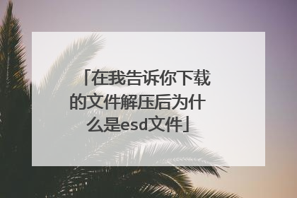 在我告诉你下载的文件解压后为什么是esd文件