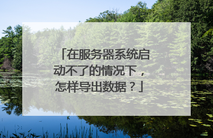 在服务器系统启动不了的情况下，怎样导出数据？