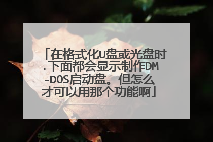 在格式化U盘或光盘时.下面都会显示制作DM-DOS启动盘。但怎么才可以用那个功能啊