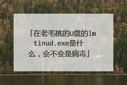 在老毛桃的U盘的lmtinud.exe是什么,会不会是病毒